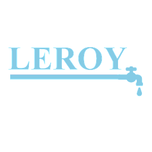 Logo de Entreprise Leroy